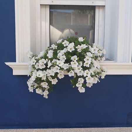 فيلا Casa Jardin مونفورتي دي ليموس المظهر الخارجي الصورة