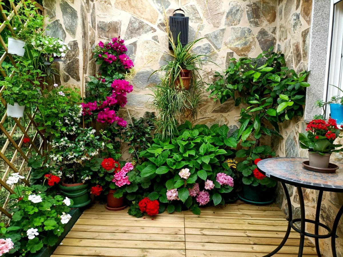 فيلا Casa Jardin مونفورتي دي ليموس المظهر الخارجي الصورة